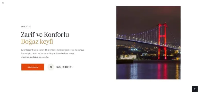 Naz Denizcilik web sitesi ekran görüntüsü